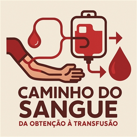 CAMINHO DO SANGUE: DA OBTENÇÃO À TRANSFUSÃO